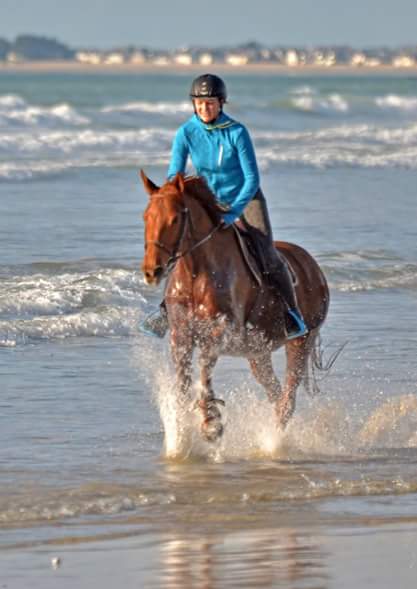 Balade, trot, galop sur la plage à 20mn de la pension