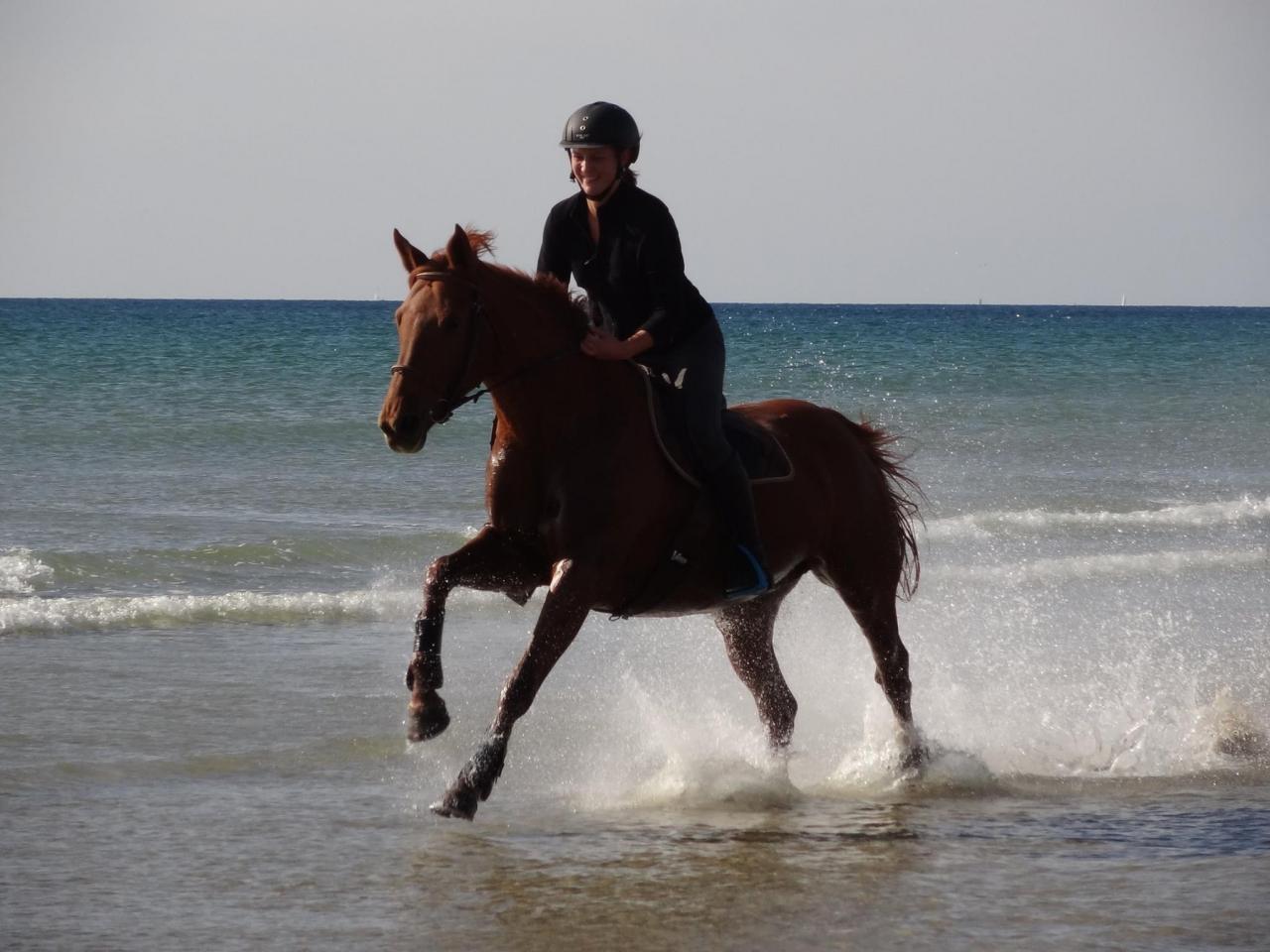 Faire du galop sur la plage du Linès à 20mn de la pension