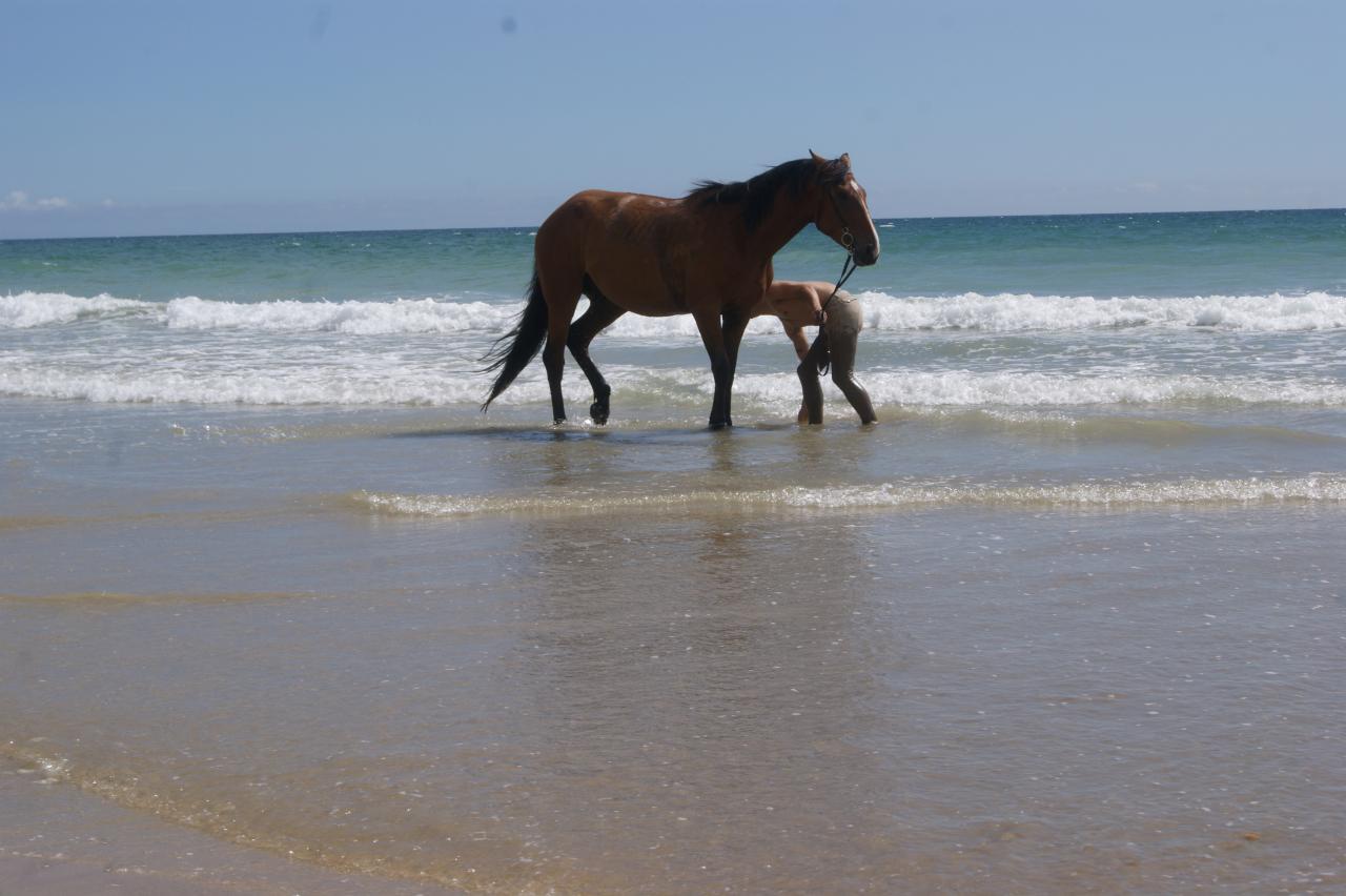 La plage du Linès à 20mn à cheval de la pension