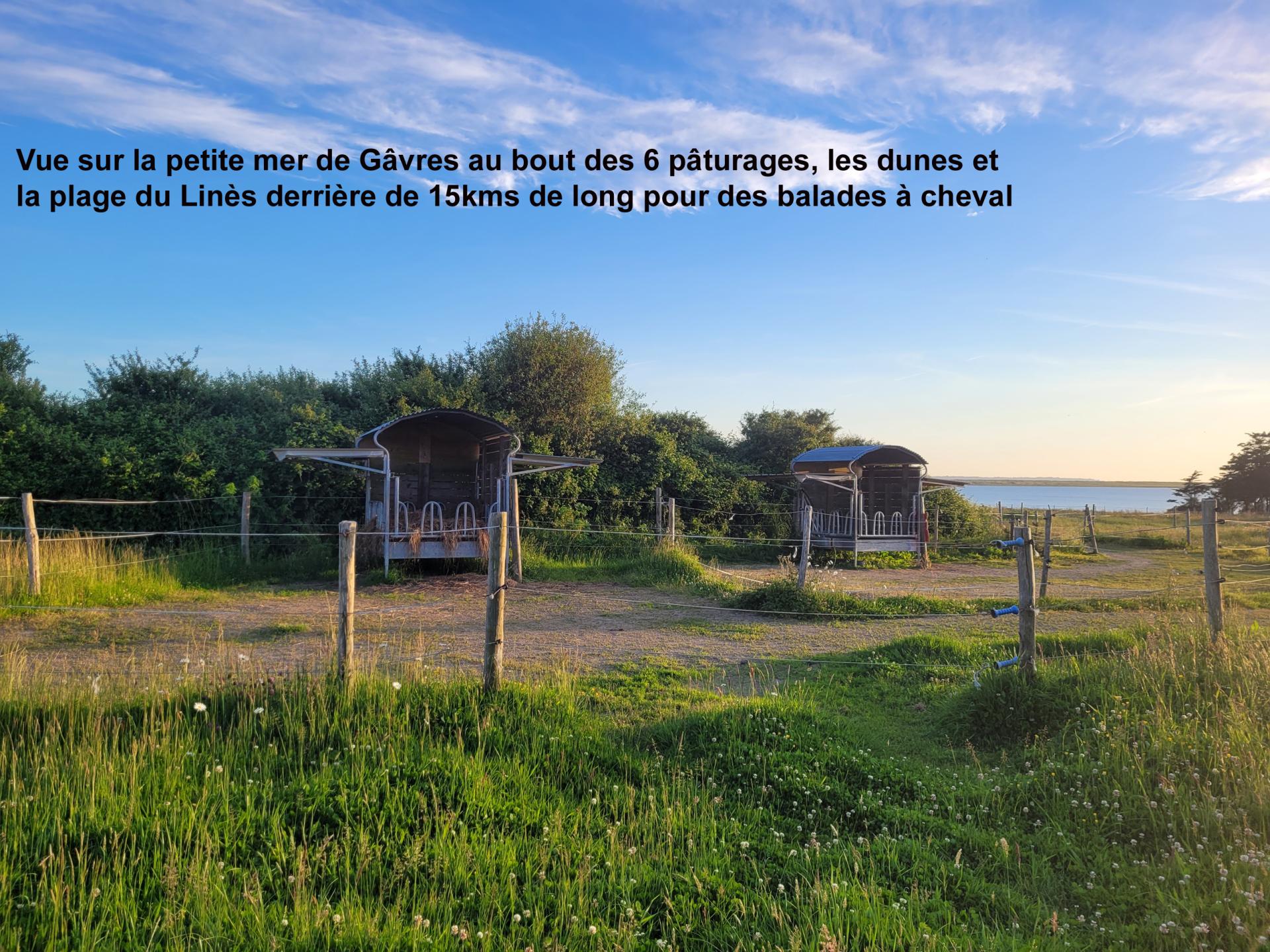 2 des 6 rateliers a kerbrezel avec 2 auvents suspendus par ratelier pour 2 chevaux