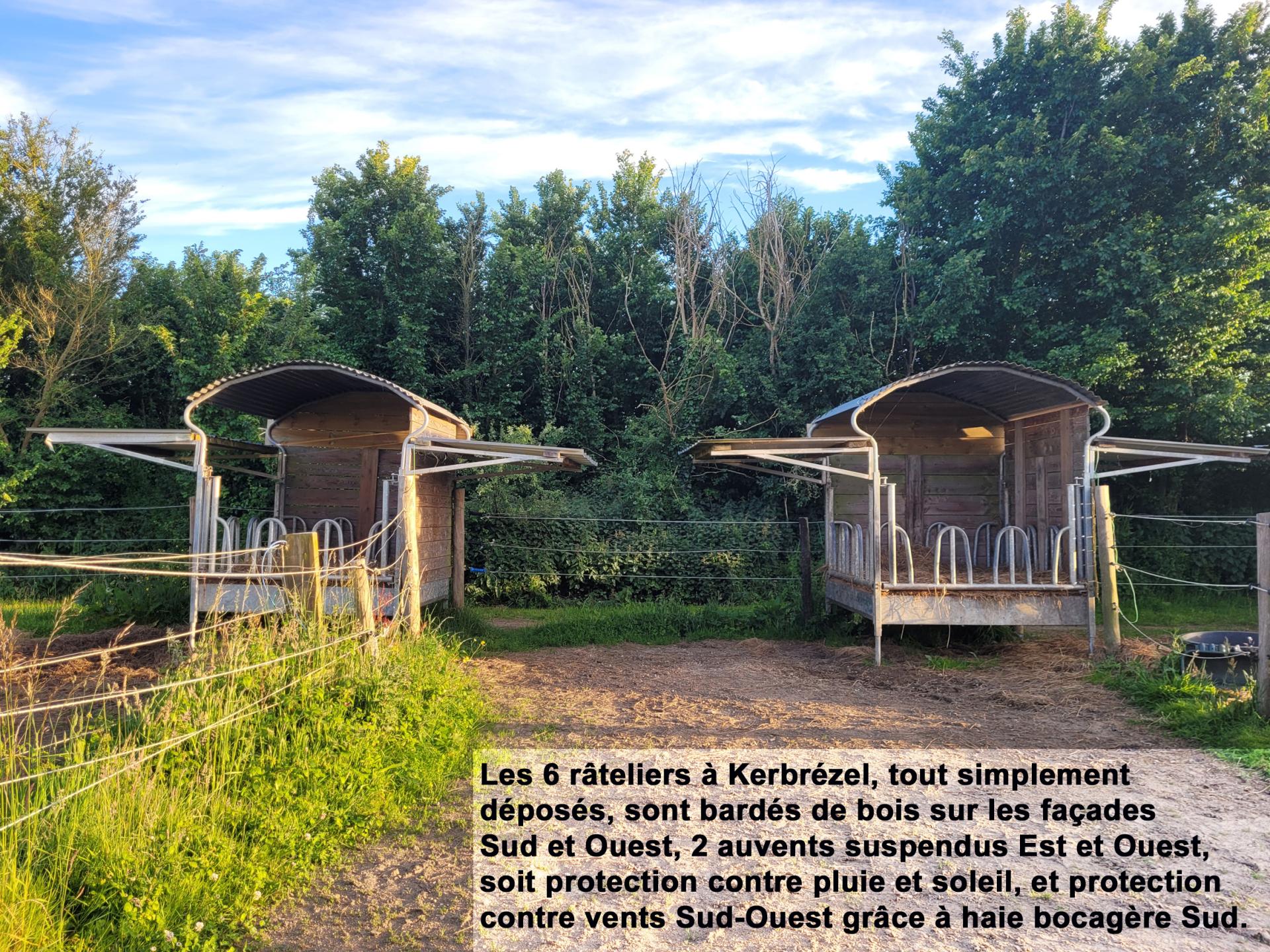 20250515 210148 photo 2 rateliers 60cm x 45cm annotations