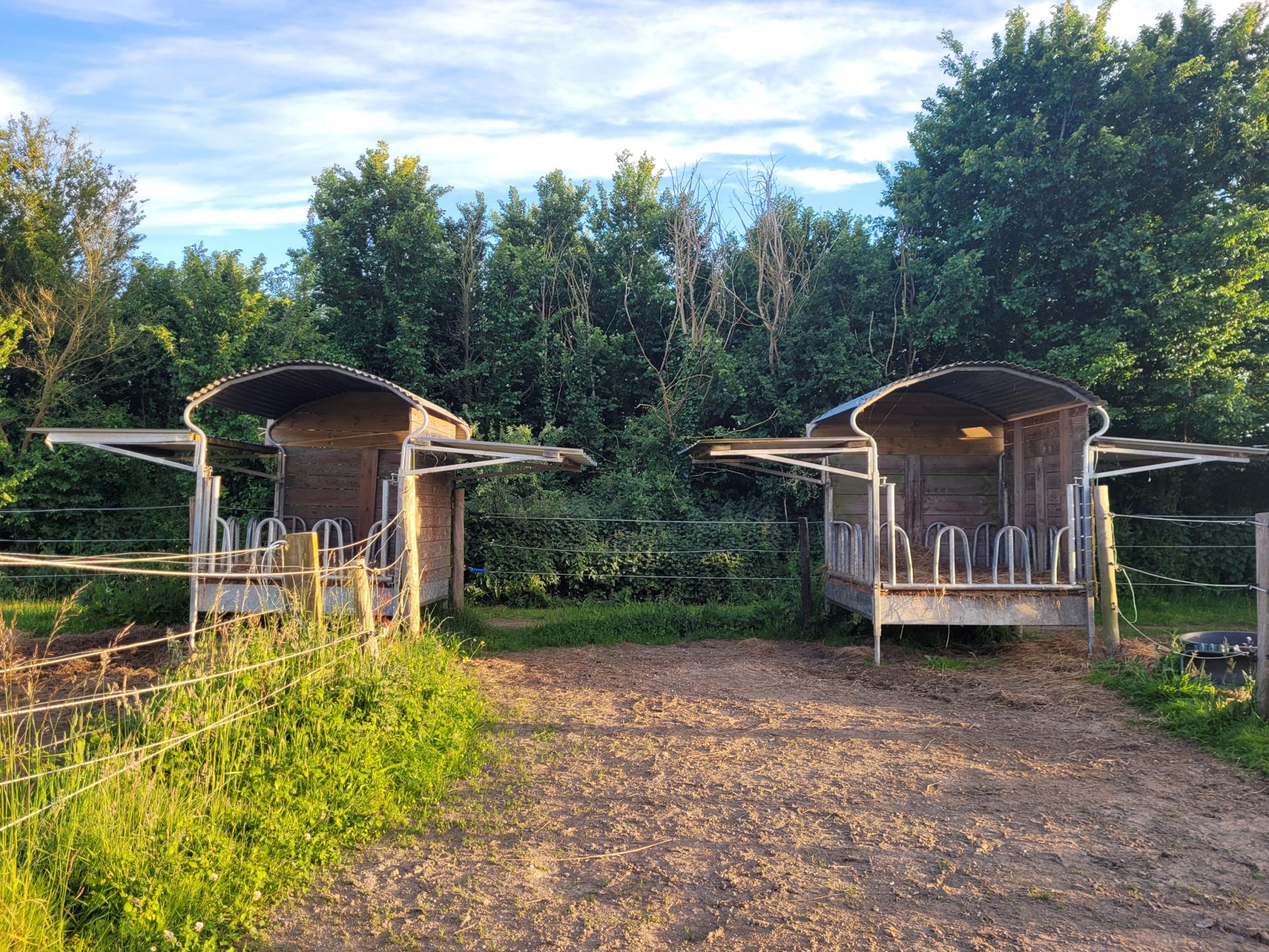 20250515 210148 photo 2 rateliers 60cm x 45cm