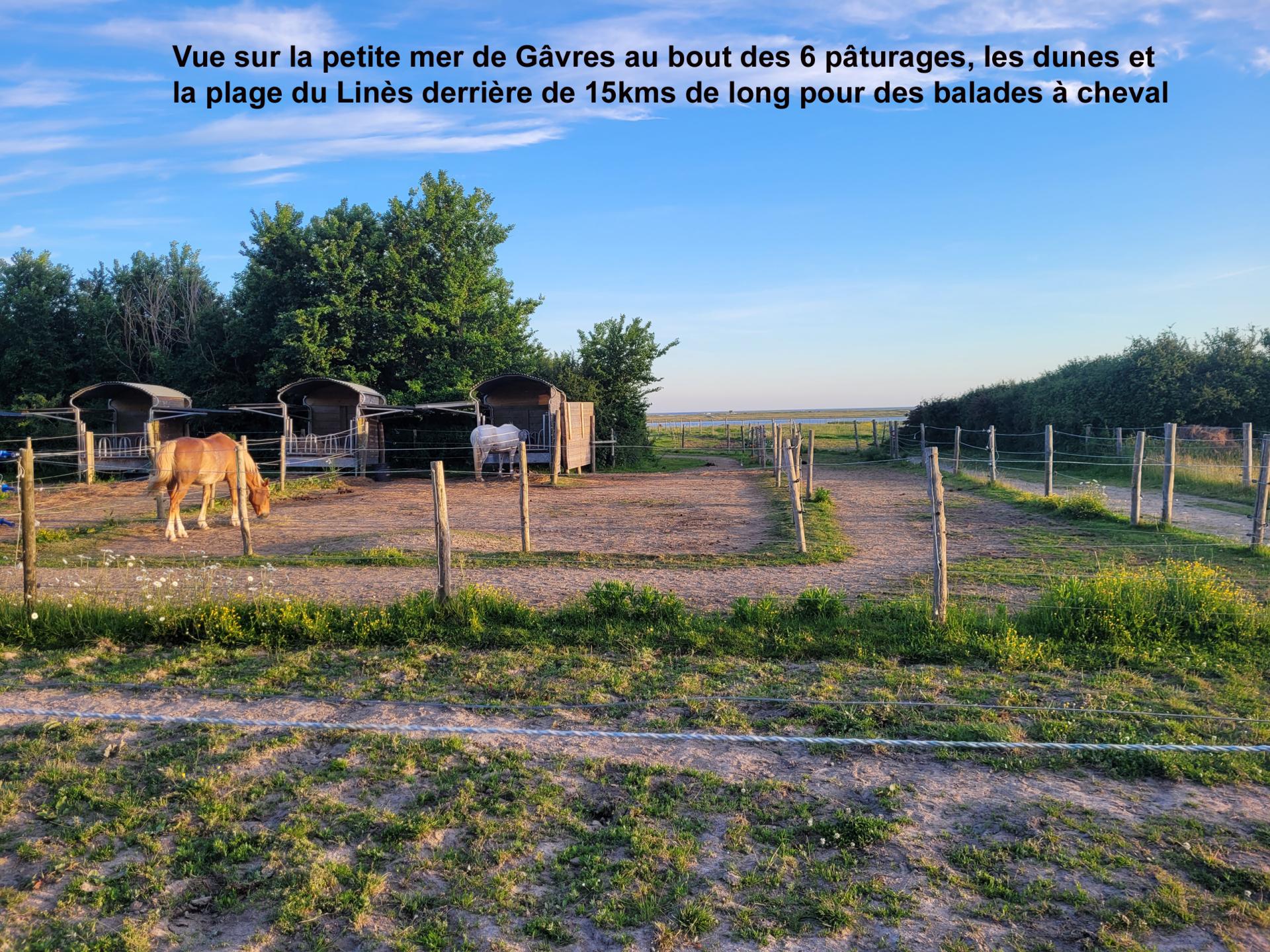 3 des 6 rateliers a kerbrezel avec 2 auvents suspendus par ratelier pour 2 chevaux 1